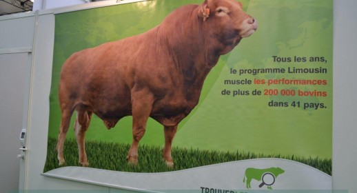 1_ SOMMET_2015